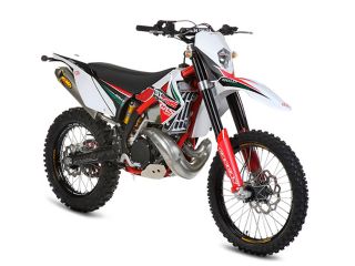 2011年 EC 250シックスデイズ