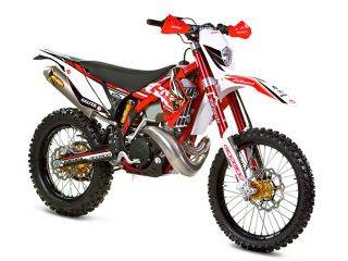 2011年 EC 250セルバンテス
