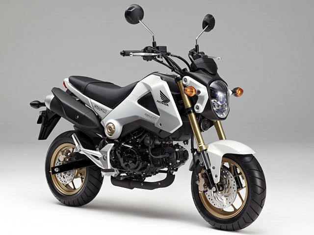 2014年 GROM パールヒマラヤズホワイト(カタログメイン)