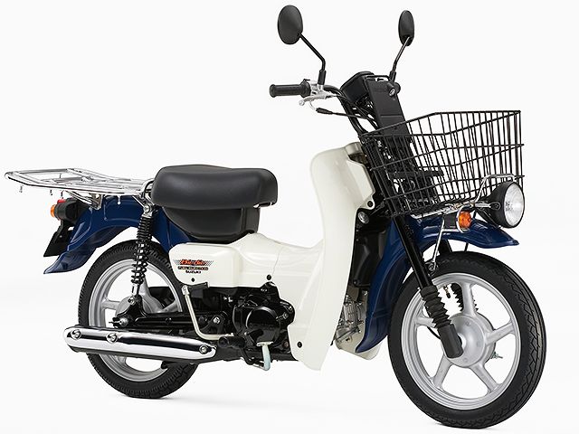 2009年 新聞Birdie 50 グレイッシュブルー(カタログメイン)