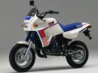 1988年 TDR50ホワイト（逆サイド）