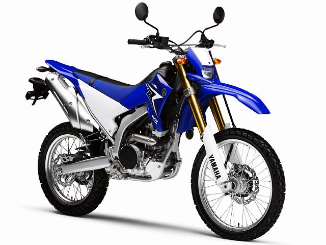 2010年 WR250R ディープパープリッシュブルーソリッドE(カタログメイン)