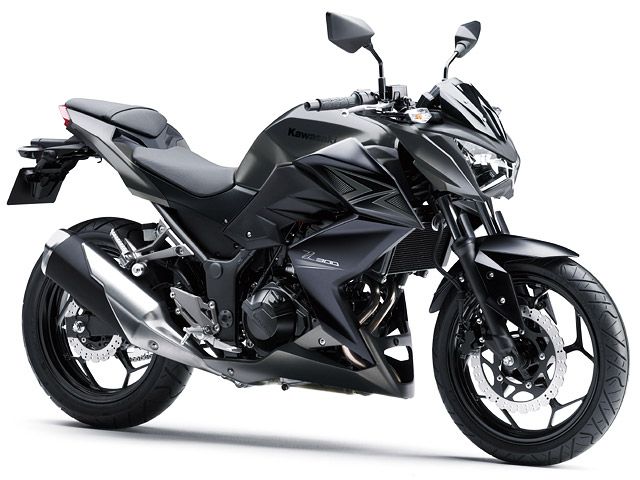 2015年 Z300 メタリックフラットロウグレーストーン×メタリックフラットスパークブラック(カタログメイン)