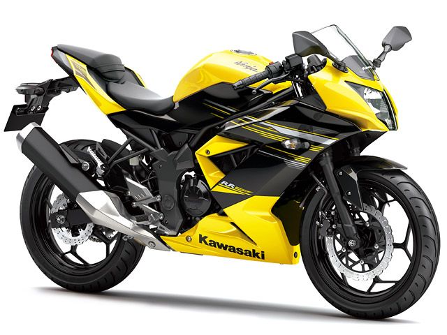 2014年 Ninja RR mono (カタログメイン)