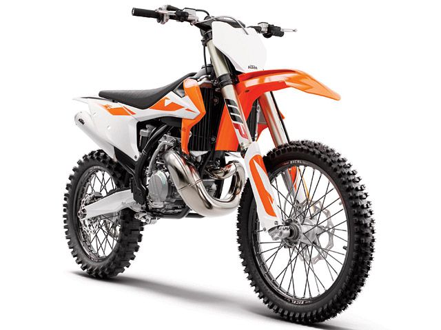 2019年 250 SX (カタログメイン)