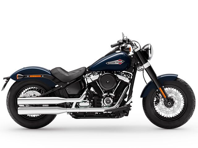 2019年 FLSL Softail Slim (カタログメイン)