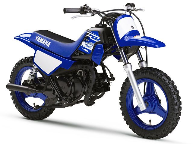 2019年 PW50 ディープパープリッシュブルーソリッドE(カタログメイン)