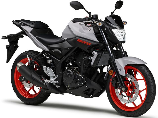 2019年 MT-25 マットライトグレーメタリック4(カタログメイン)