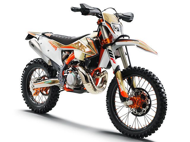 2020年 300 EXC TPI ERZBERGRODEO (カタログメイン)