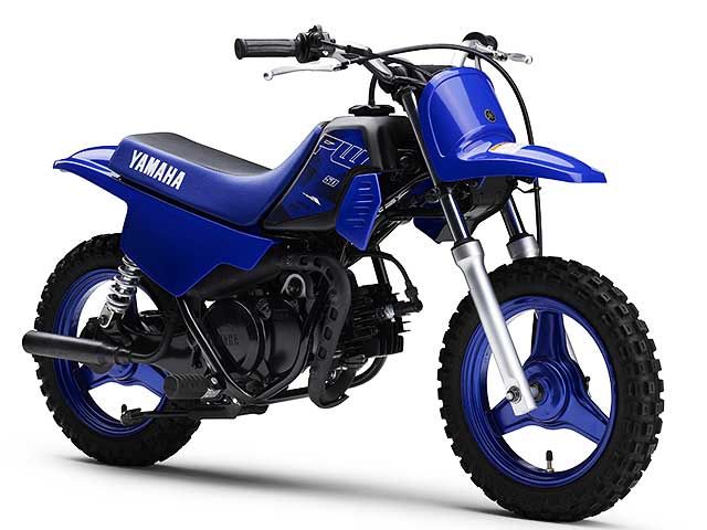 2022年 PW50 ディープパープリッシュブルーソリッドE(カタログメイン)