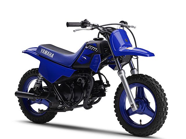 2023年 PW50 ディープパープリッシュブルーソリッドE(カタログメイン)