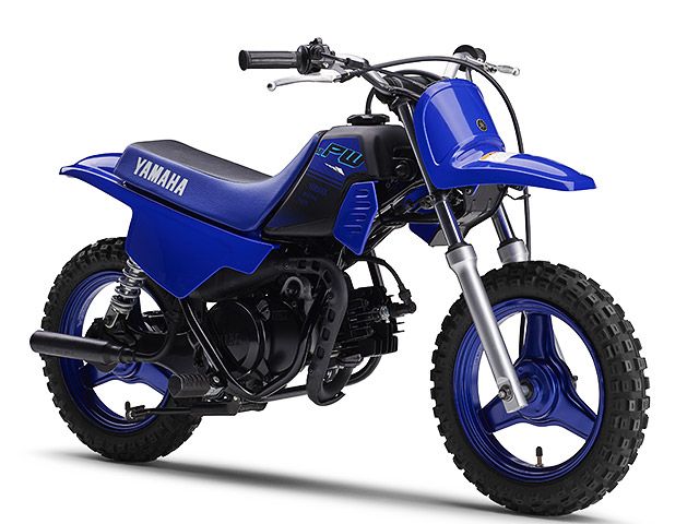 2024年 PW50 ディープパープリッシュブルーソリッドE(カタログメイン)