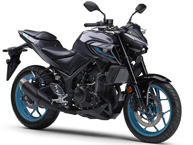 2024年 MT-25 ABS ダークブルーイッシュグレーメタリック8(カタログメイン)