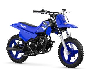 2026年 PW50ディープパープリッシュブルーソリッドE