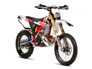 2012年 EC 300ギヨーム