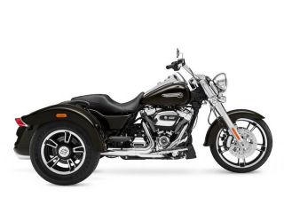 2017年 FLRT Freewheelerブラッククオーツ