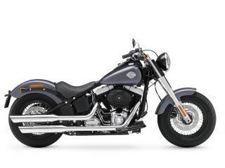 2015年 FLS Softail Slimチャコールサテン/ビビッドブラックサテン