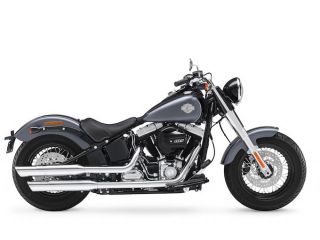 2016年 FLS Softail Slimチャコールサテン / ビビッドブラックサテン