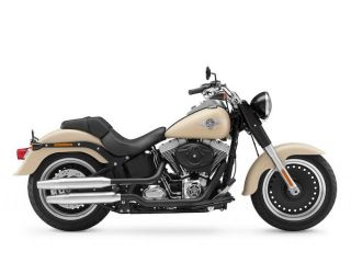 2015年 FLSTFB Fatboy Loサンドカモデニム