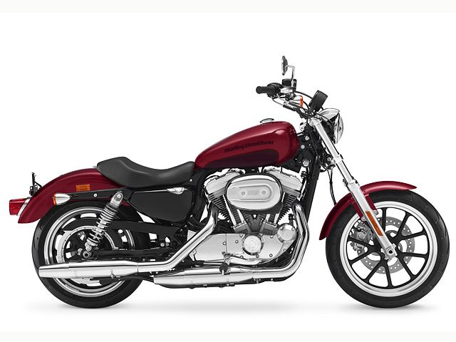 1日限りハーレースポーツスターXL インジェクションゴールド