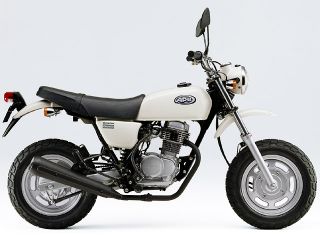 ホンダ（HONDA）2007年 Ape100・カラーチェンジのカタログ情報
