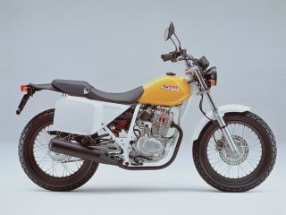 ホンダ（HONDA）2002年 FTR・マイナーチェンジのカタログ情報 | 沖縄のバイクを探すなら【グーバイク沖縄】