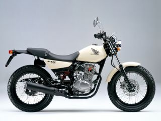 2005年 FTR ソリッドカラーバージンベージュ（スタンダードカラー）