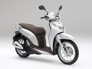 2013年 Sh modeパールジャスミンホワイト