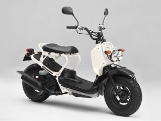 2005年 ZOOMERシャスタホワイト