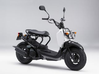 2008年 ZOOMERシャスタホワイト