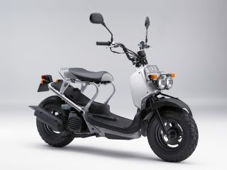2008年 ZOOMER DELUXEマットファームシルバーメタリック