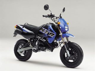 カワサキ（KAWASAKI）2007年 KSR110・カラーチェンジのカタログ