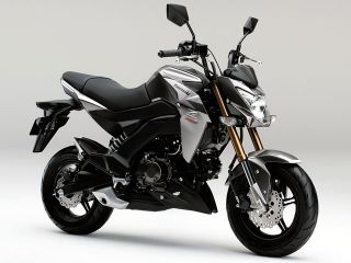 2016年 Z125 PROメタリックグラファイトグレー