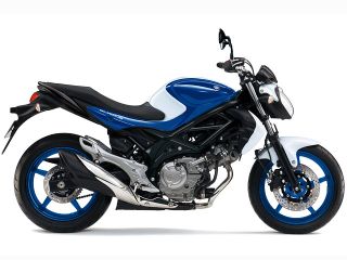 2014年 GLADIUS 650 ABSパールビガーブルー/パールグラシアホワイト