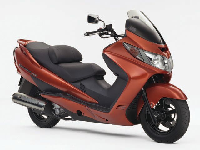 スズキ（SUZUKI）2003年 SKYWAVE 250 Type S・追加のカタログ情報 | 沖縄のバイクを探すなら【グーバイク沖縄】