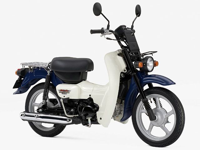 2008年 重荷用Birdie 50 グレイッシュブルー（カタログメイン）