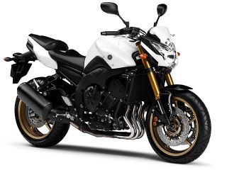 2011年 FZ8ブルーイッシュホワイトカクテル1