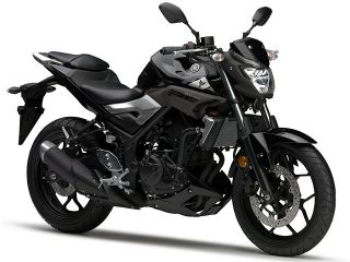 ヤマハ（YAMAHA）2016年 MT-25・新登場のカタログ情報 | 沖縄のバイクを探すなら【グーバイク沖縄】