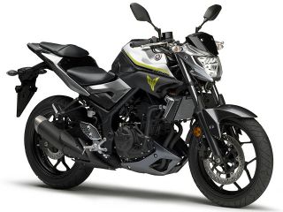 2017年 MT-25シルバー8