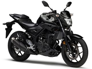 2017年 MT-25ブラックメタリックX