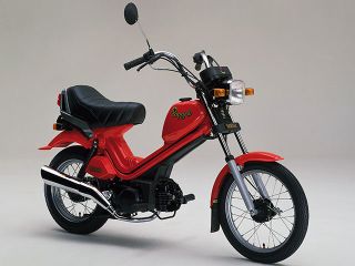 1982年 POPGAL セル付