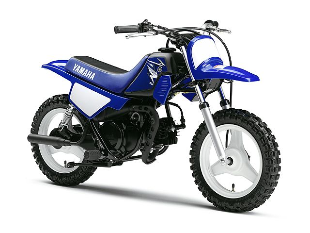 2009年 PW50 ディープパープリッシュブルーソリッドE（カタログメイン）