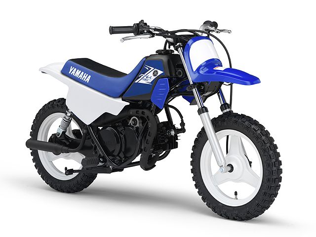 2013年 PW50 ディープパープリッシュブルーソリッドE（カタログメイン）