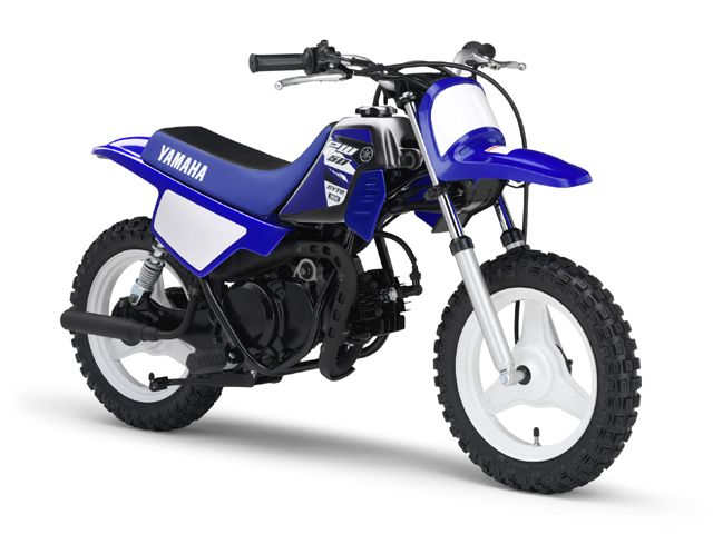 2015年 PW50 ディープパープリッシュブルーソリッドE（カタログメイン）