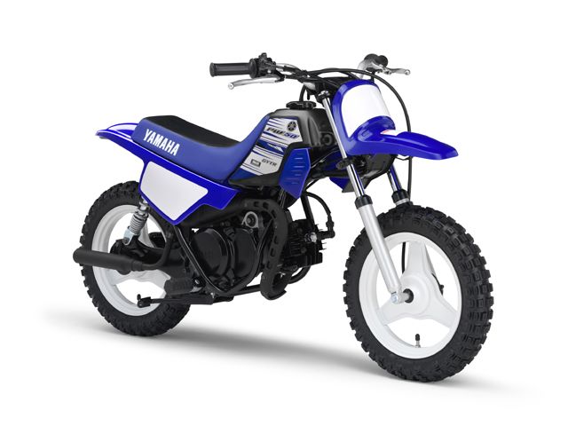 2016年 PW50 ディープパープリッシュブルーソリッドE（カタログメイン）