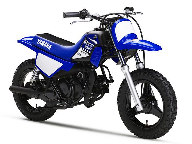 2017年 PW50 ディープパープリッシュブルーソリッドE（カタログメイン）