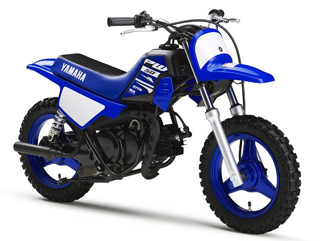 2018年 PW50 ディープパープリッシュブルーソリッドE（カタログメイン）