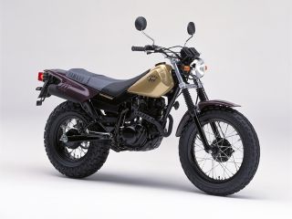 1999年 TW200Eアルビアルゴールド