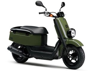 2009年 VOXダークグリーニッシュグレーソリッド1