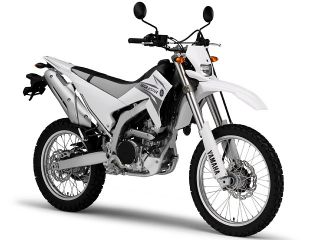 2008年 WR250Rパープリッシュホワイトソリッド1